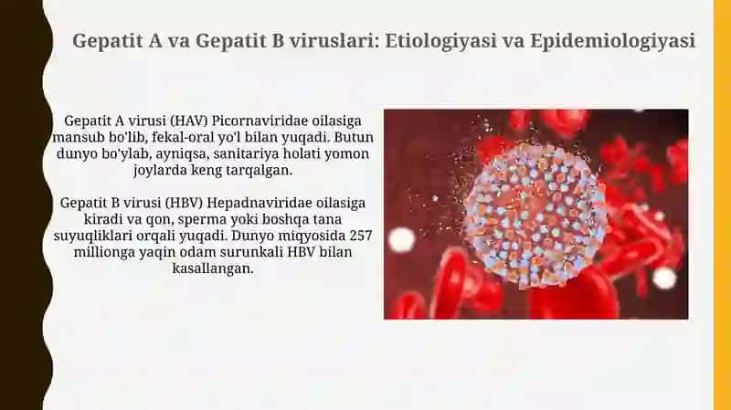 Gepatit A va B viruslari: Etiologiya, Epidemiologiya va Klinik ko'rinishlar 3