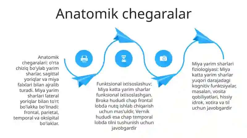 Bosh Miya Katta Yarim Sharlarining Fiziologiyasi 3