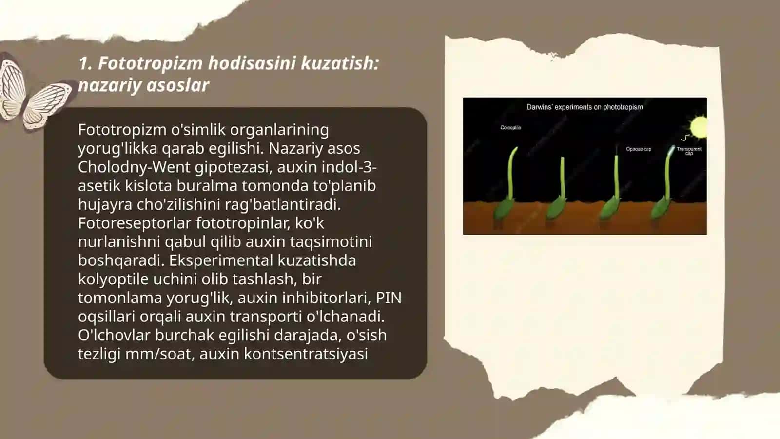 O'simliklardagi fototropizm, fotonastiya va geotropizm hodisalarini kuzatish 3