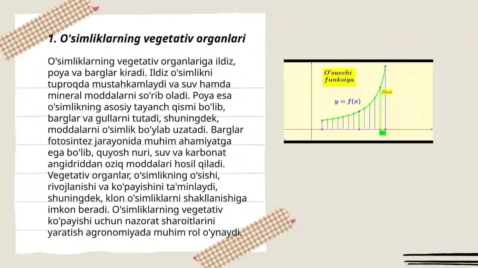 Òsimliklarning vegetativ organlari 3