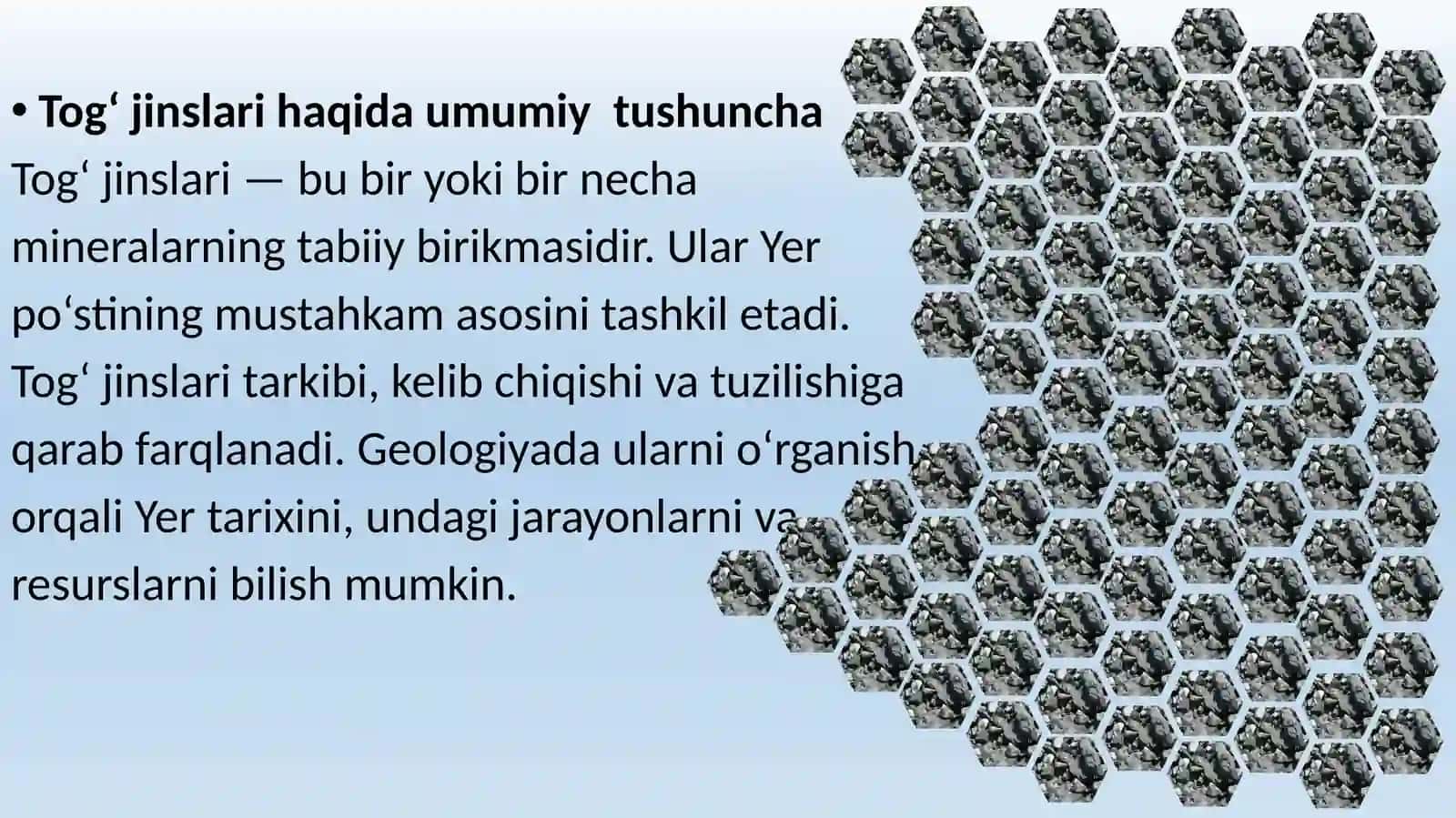 Magmatik va metamorfik jinslar va geologiya muzeyi 3