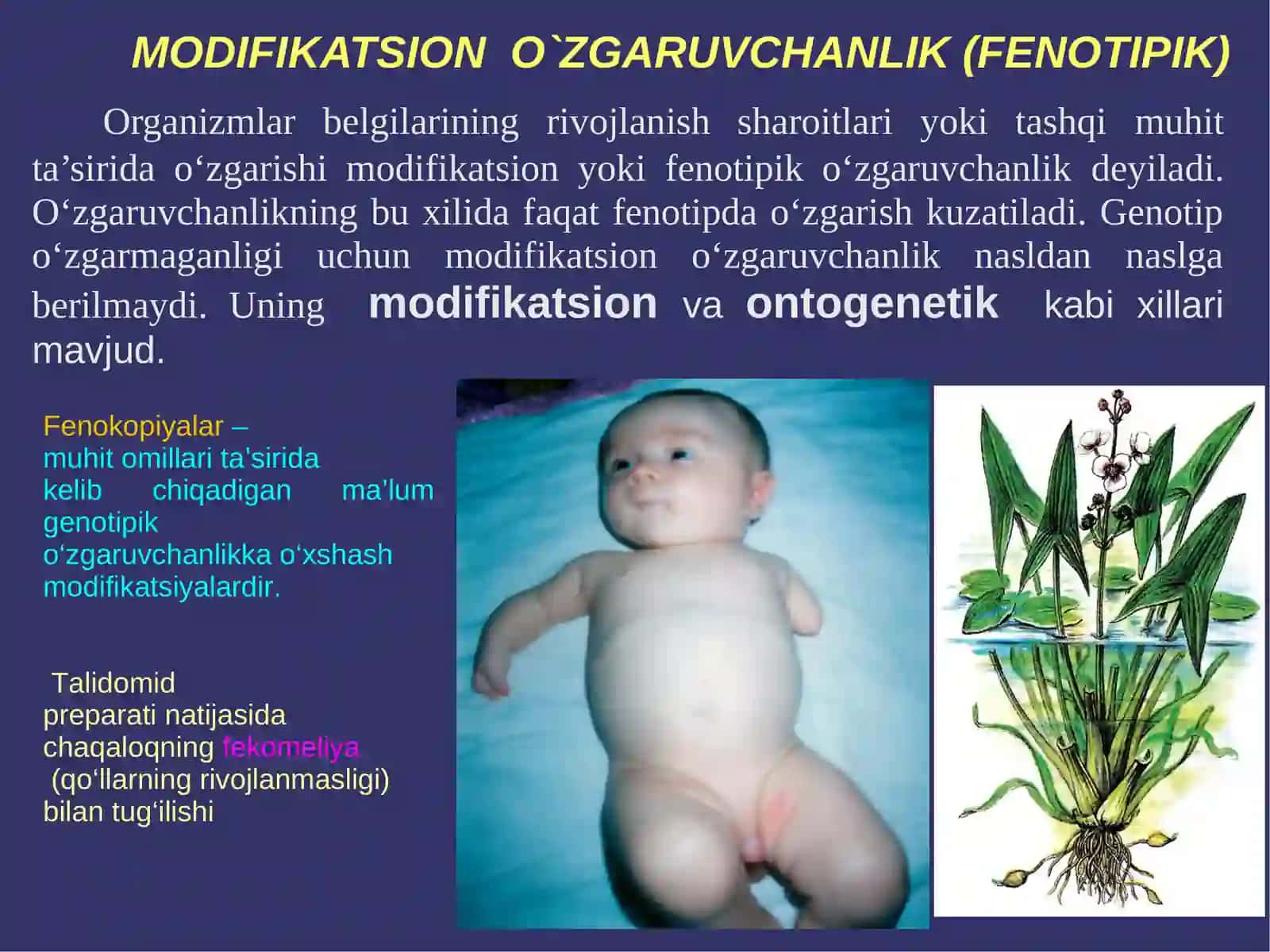 O`ZGARUVCHANLIK VA UNING XILLARI 3