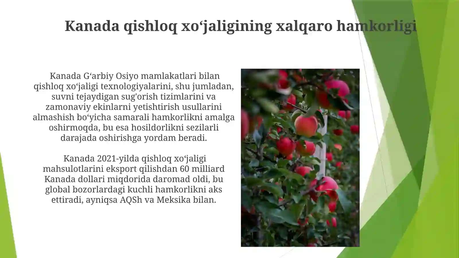 Kanada qishloq xoʻjaligining umumiy koʻrinishi 3