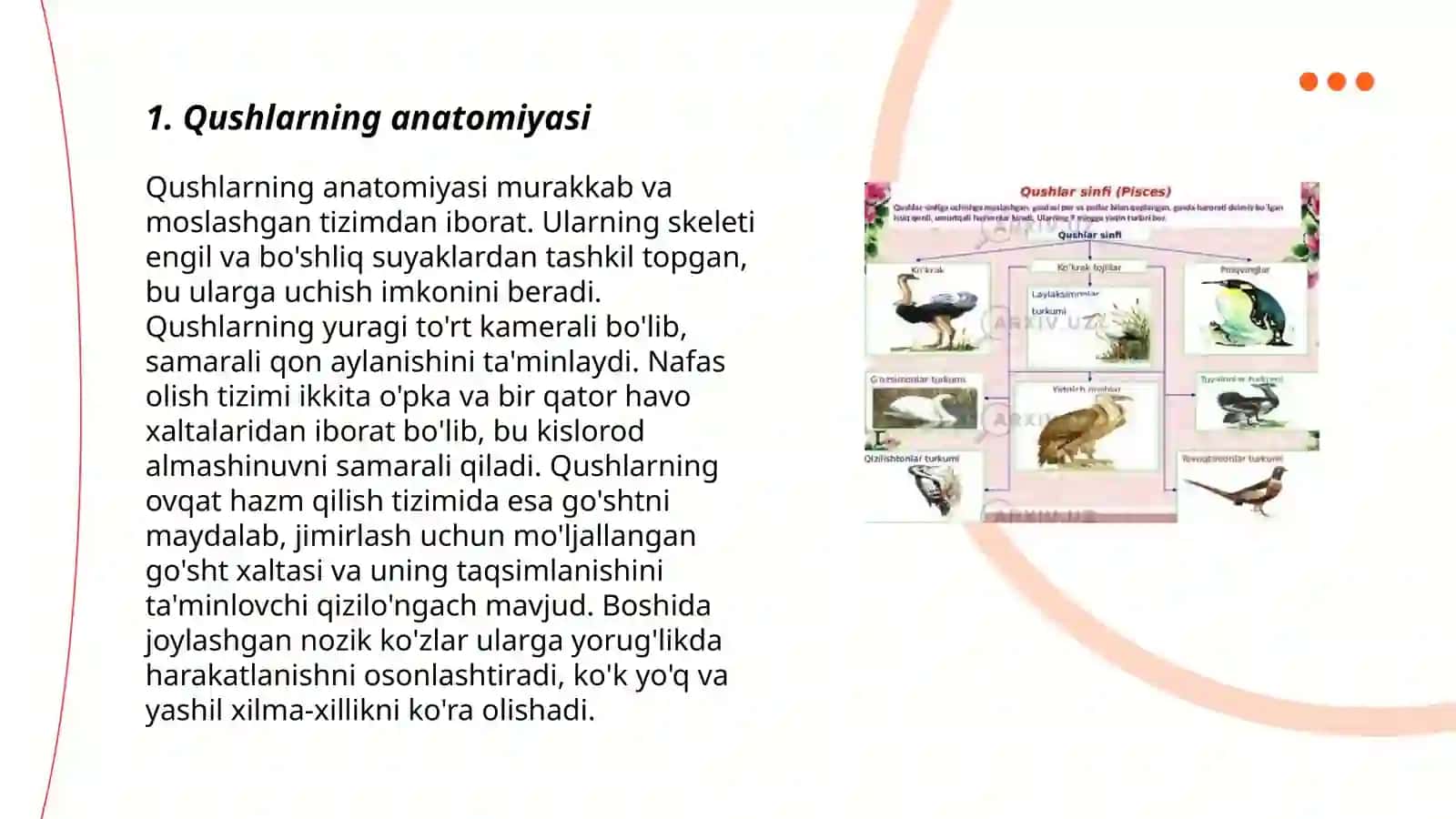 Qushlarning biologiyasi va kelib chiqish evolutsiyasi 3