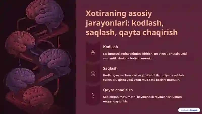 Xotira turlari: o'tmish tajribalarini eslab qolish, saqlash va unutish jarayonlari 3