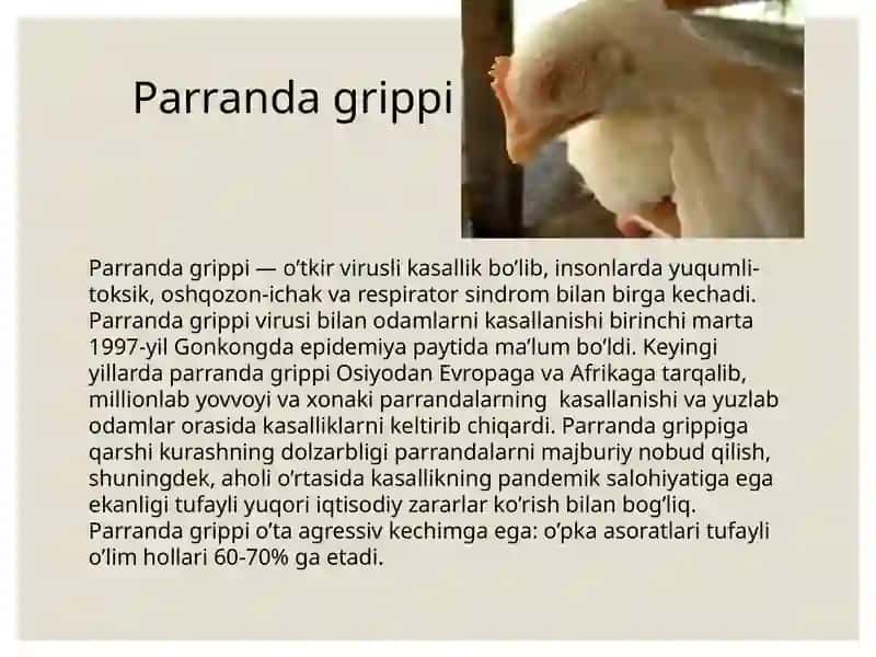 Parranda grippi 3
