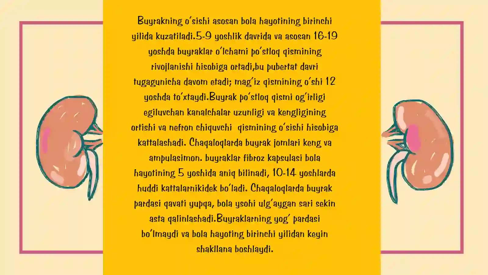 Bolalarda buyraklarni anatomo-fiziologik hususiyatlari. 3