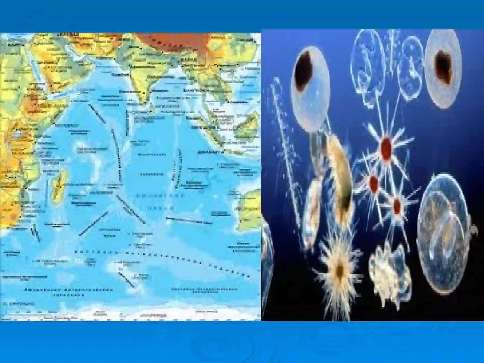 Geografiya fanidan o’tgan mavzuni takrorlash uchun savollar 3