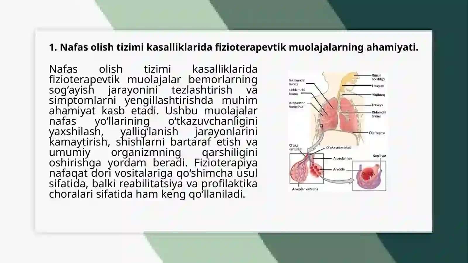 Nafasolishtizimikassalilklardafizoterapeftikmuolaja 3