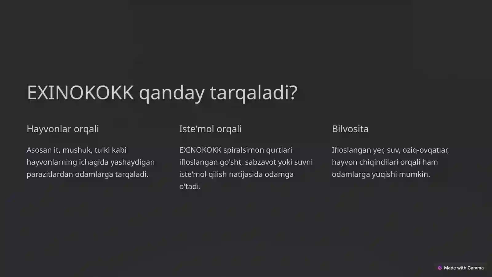 EXINOKOKK 3