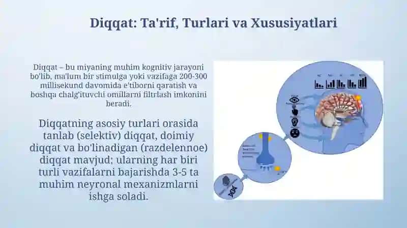 Diqqat haqida tushuncha va uning nerv fiziologik asosi 3
