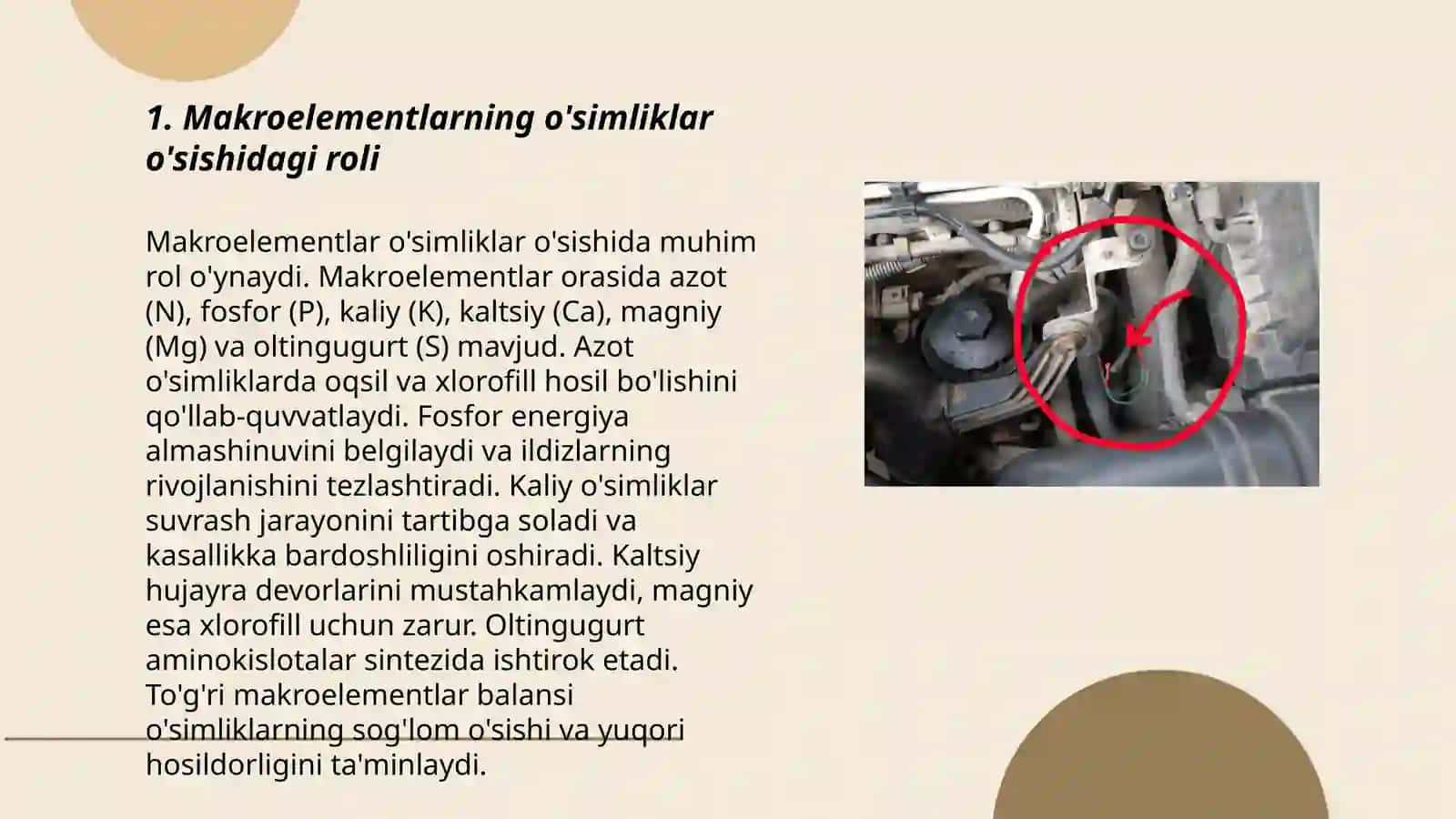 Oziq eritmasida makro va mikroelementlar nisbati ularning oʻsimliklar tomonidan oʻzlashtirilishini tahlil qilish 3