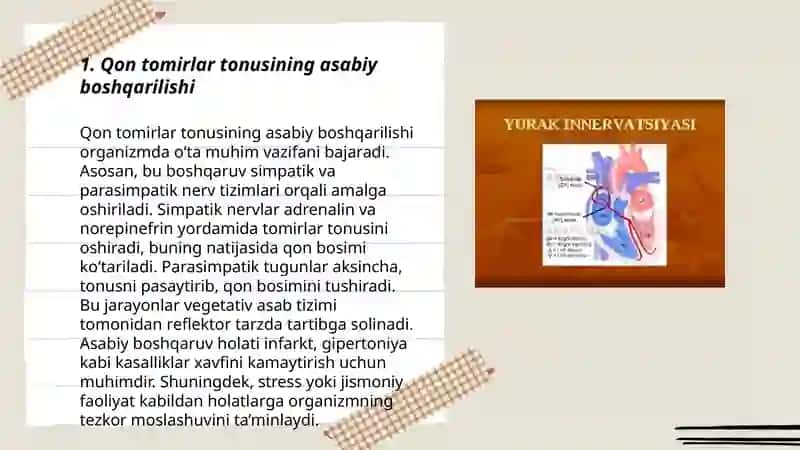 Qon tomirlar tonusining nerv va gumoral boshqarilishi 3