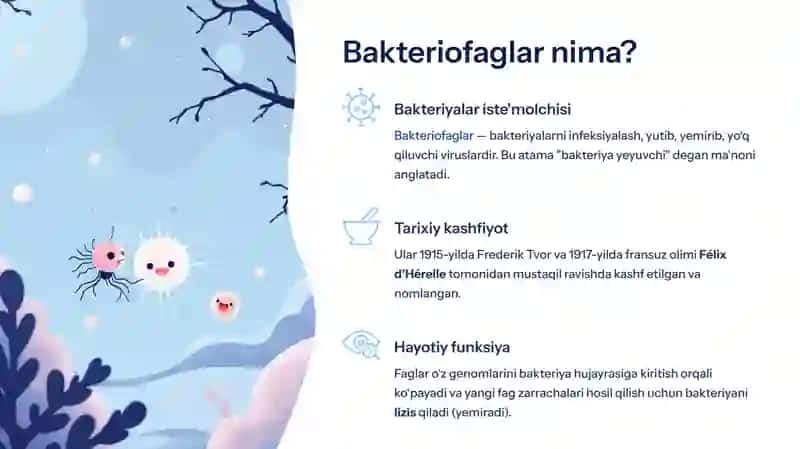 Bakteriofaglar, morfologiyasi, strukturasi, repraduksiyasi, amaliyotda   (davolashda, identifikatsiyada, profilaktikada) qo'llanilishi 3