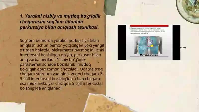 Yurak perkussiyasi 3