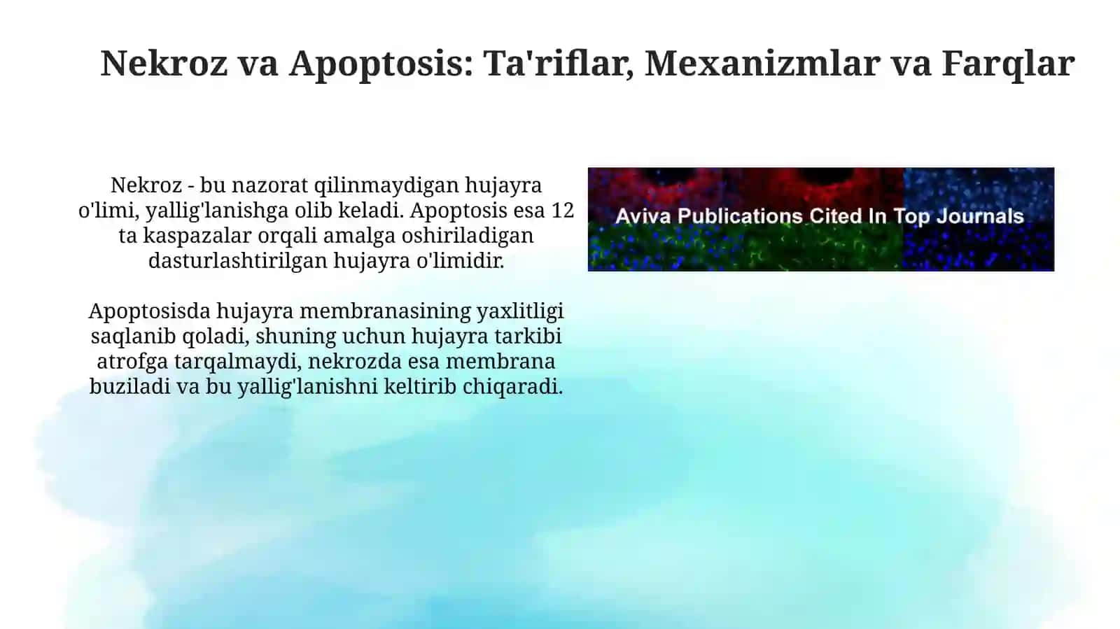 Nekroz va Apoptosis: Ta'riflar, Mexanizmlar va Farqlar 3