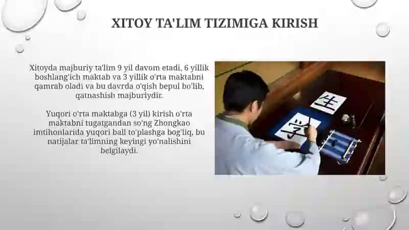 Xitoy ta'lim tizimi: tuzilishi va asosiy xususiyatlari 3