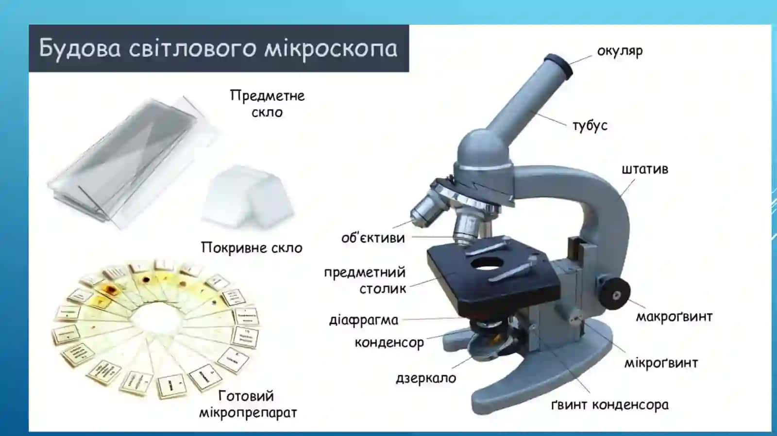 Mikroskopni  ishlatish,Laboratoriya idishlarini nomlash, yuvish, saqlash va yorliqlash 3