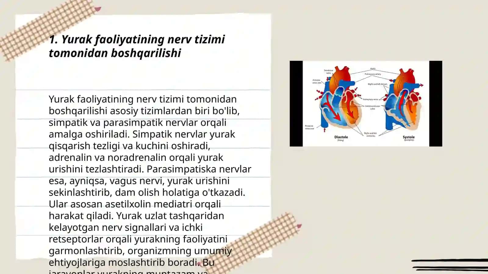 Yurak faoliyatining boshqarish mexanizmlari 3