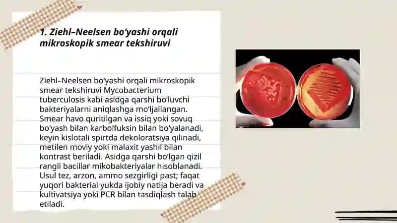 Tuberkulyozda biologik tekshirish usullari 3