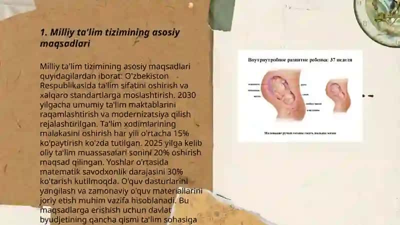Milliy ta'lim tizimi va uning Yangi komponentlari 3