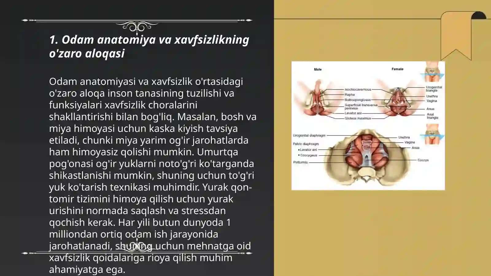Odam anatomiyasining (antropometrik parametrlarning) xavfsizlikni taʼminlashdagi ahamiyati 3