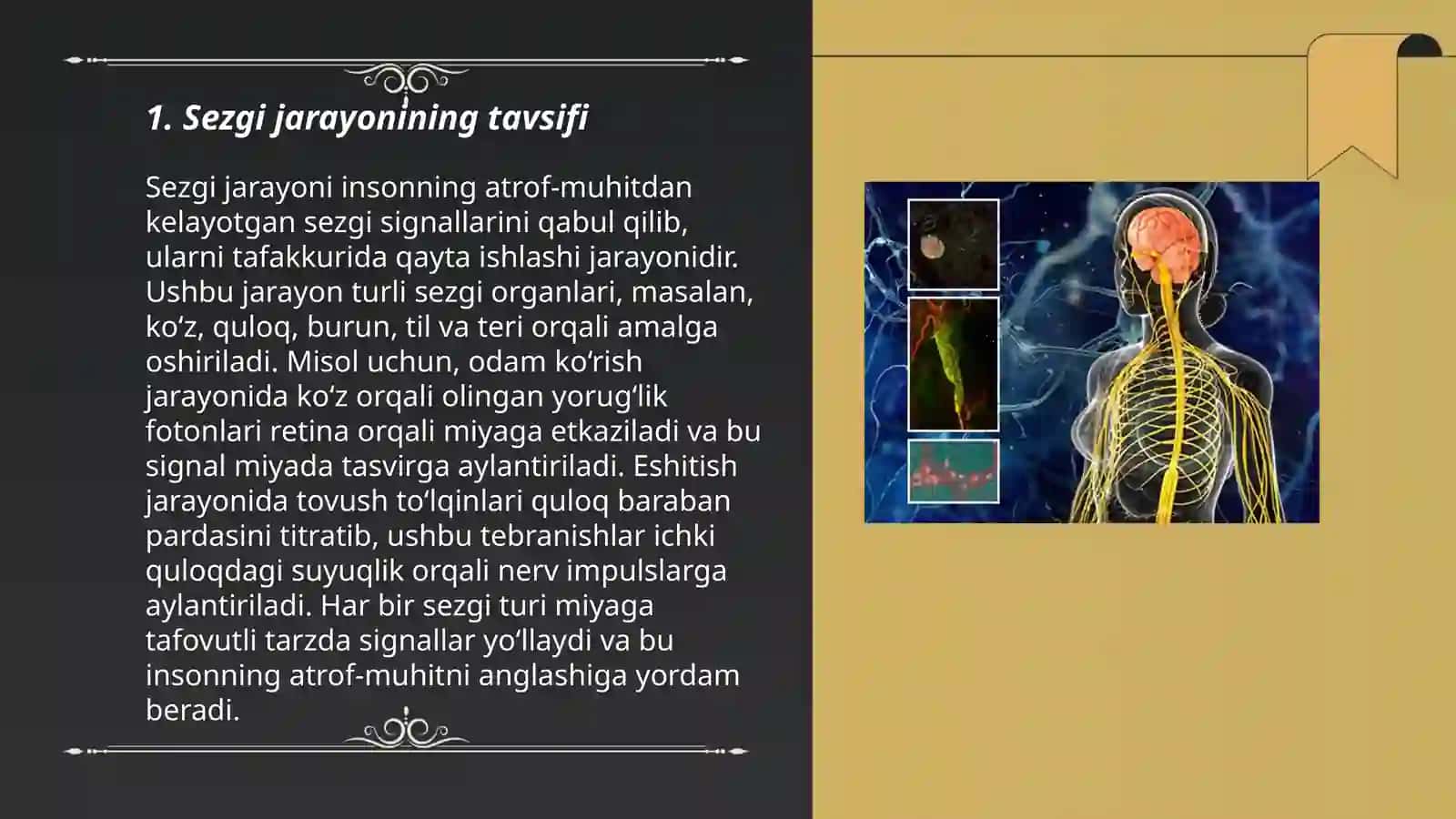 Sezgi va Idrokning Tavsifi 3