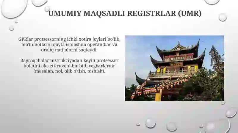 Registrlar va flaglar 3