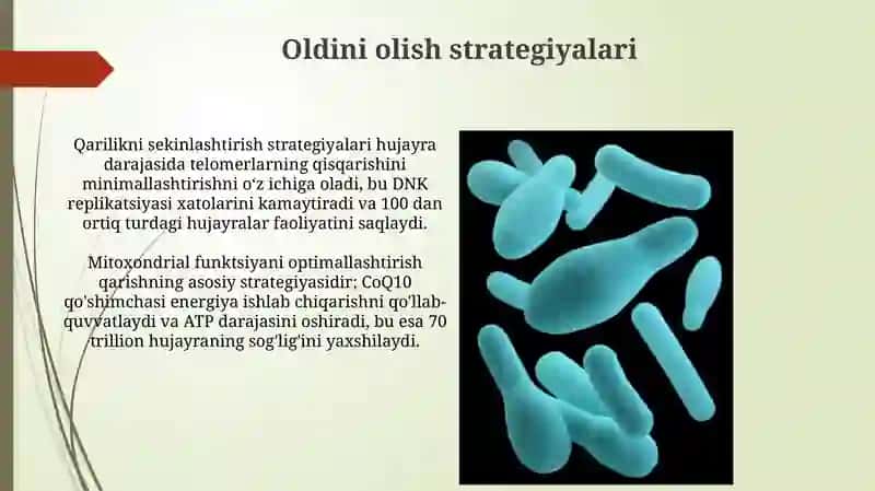 Havo-tomchi infeksiyalariga kiruvchi mikroorganizmlar xarakteriktika 3