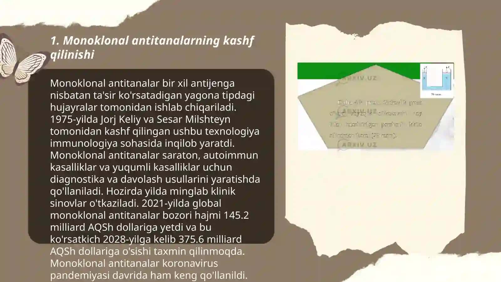 Monoklonal antitelalar 3