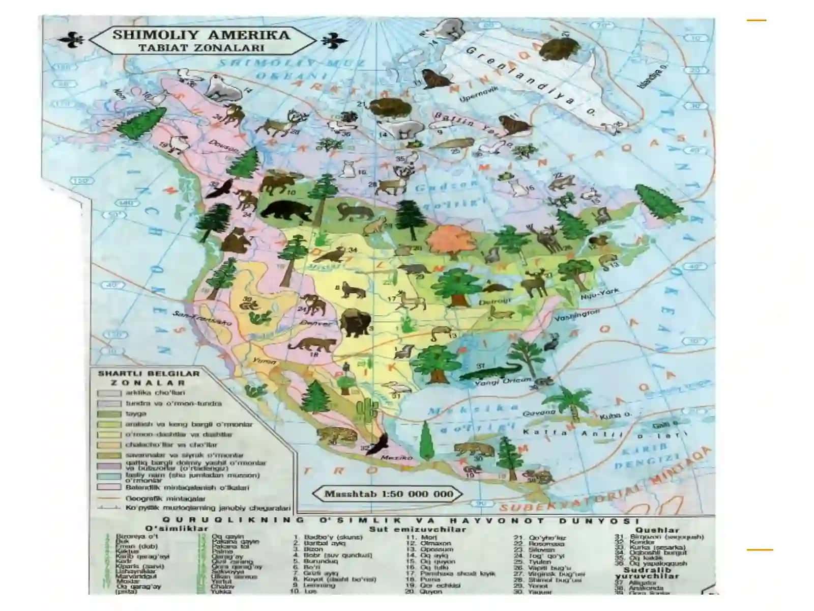 Qutbiy mintaqa tuproqlari (Artika, tundra va o’rmon tundra) 3