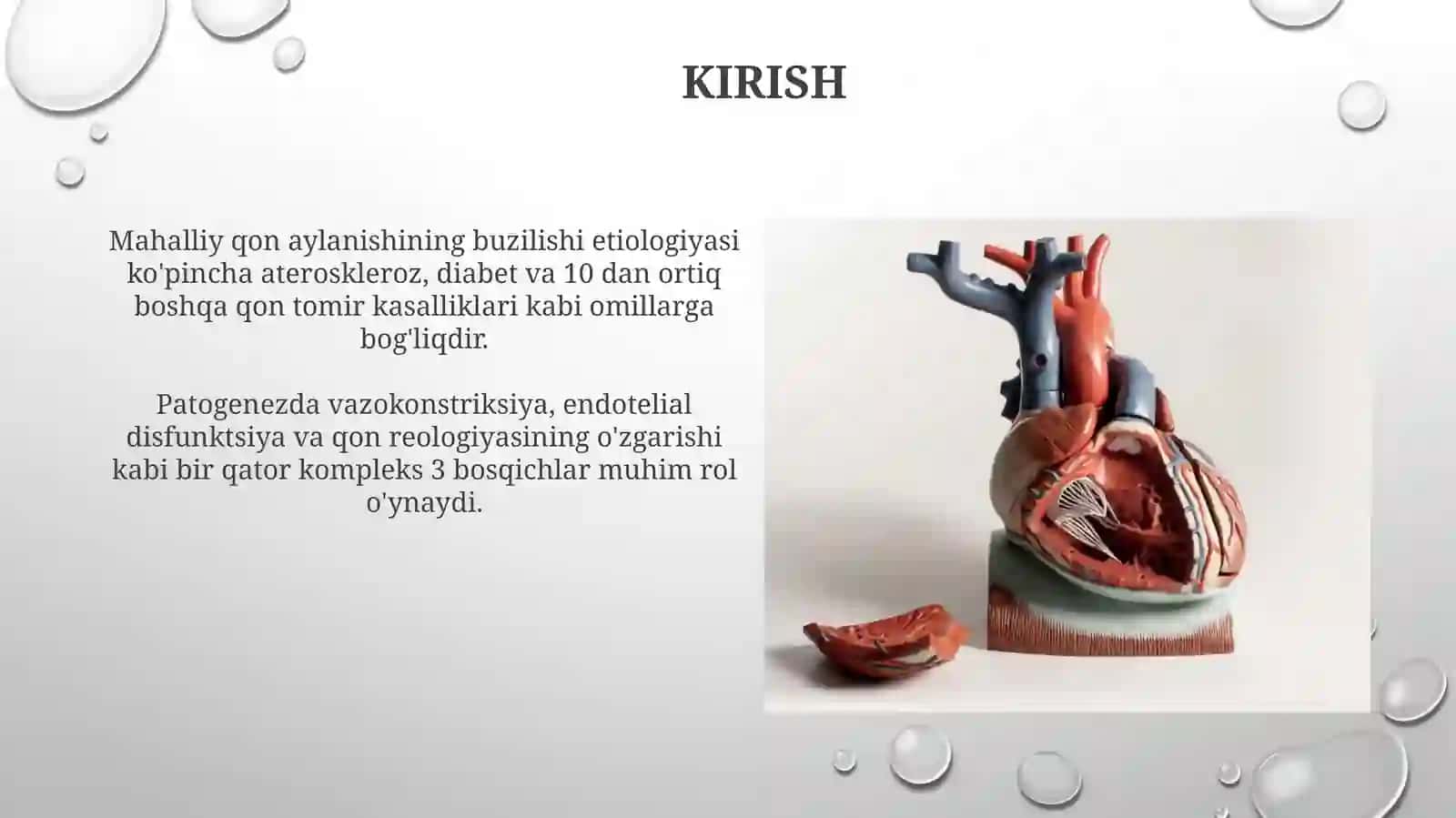 Mahalliy qon aylanishining patofiziologiyasi 3
