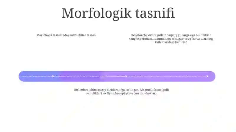 Magnoliatoifalarning Klassifikatsiyasi Haqida Klaster 3