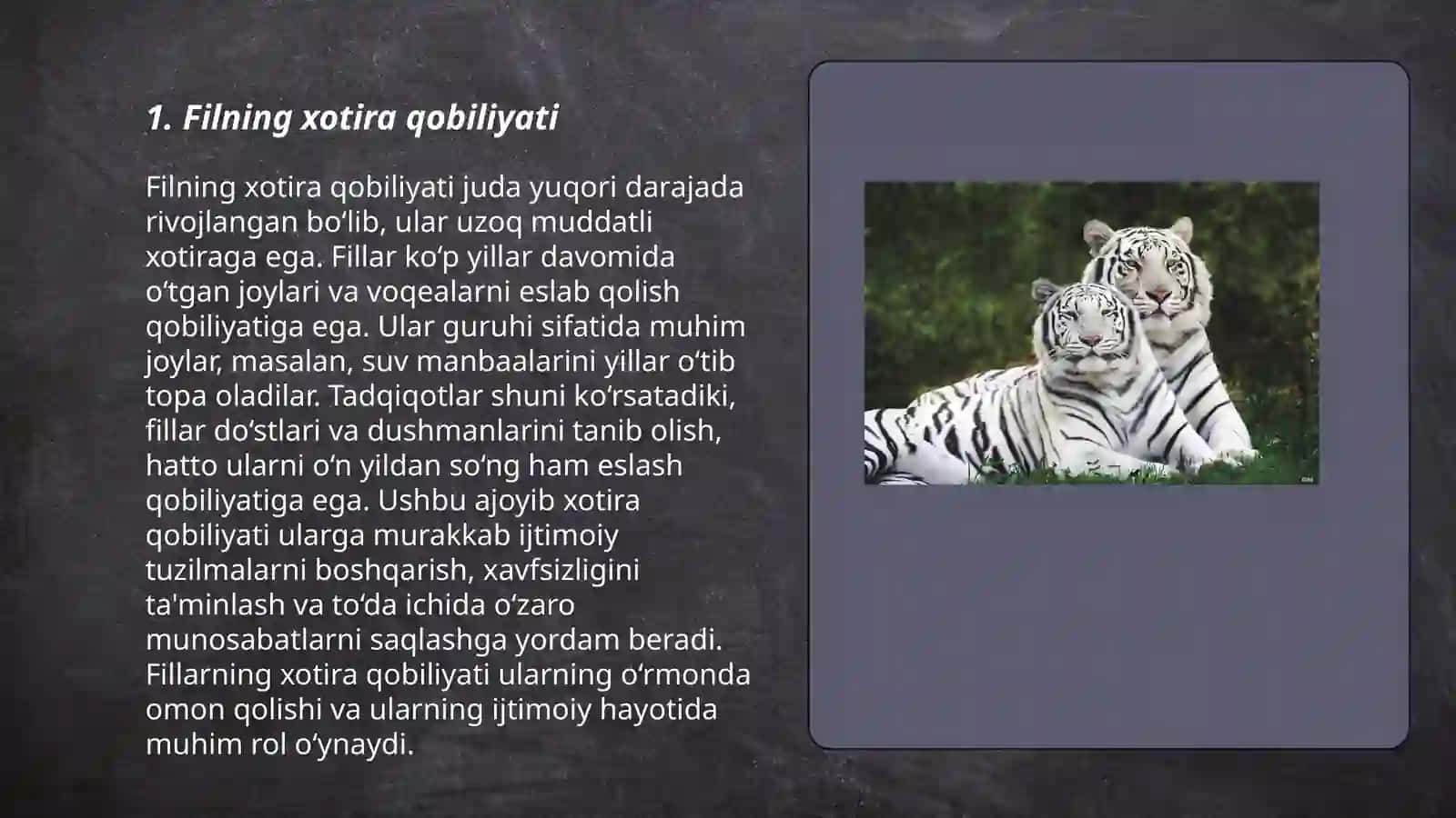 Hayvonlar haqidagi qiziqarli faktlar 3