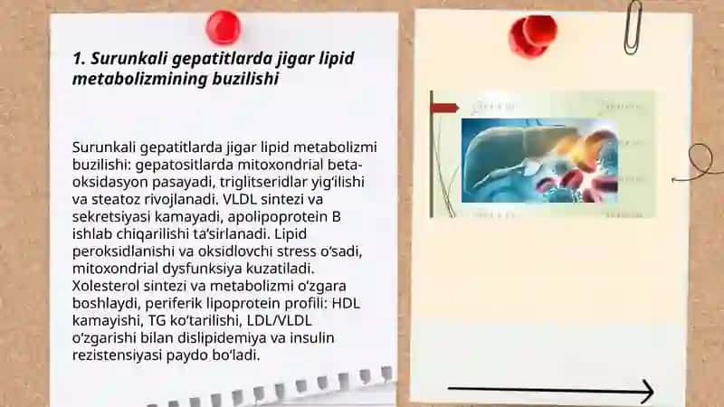 Surunkali gepatitlar va holetsistitlarda yog'lar hazmlanishini buzilishi 3