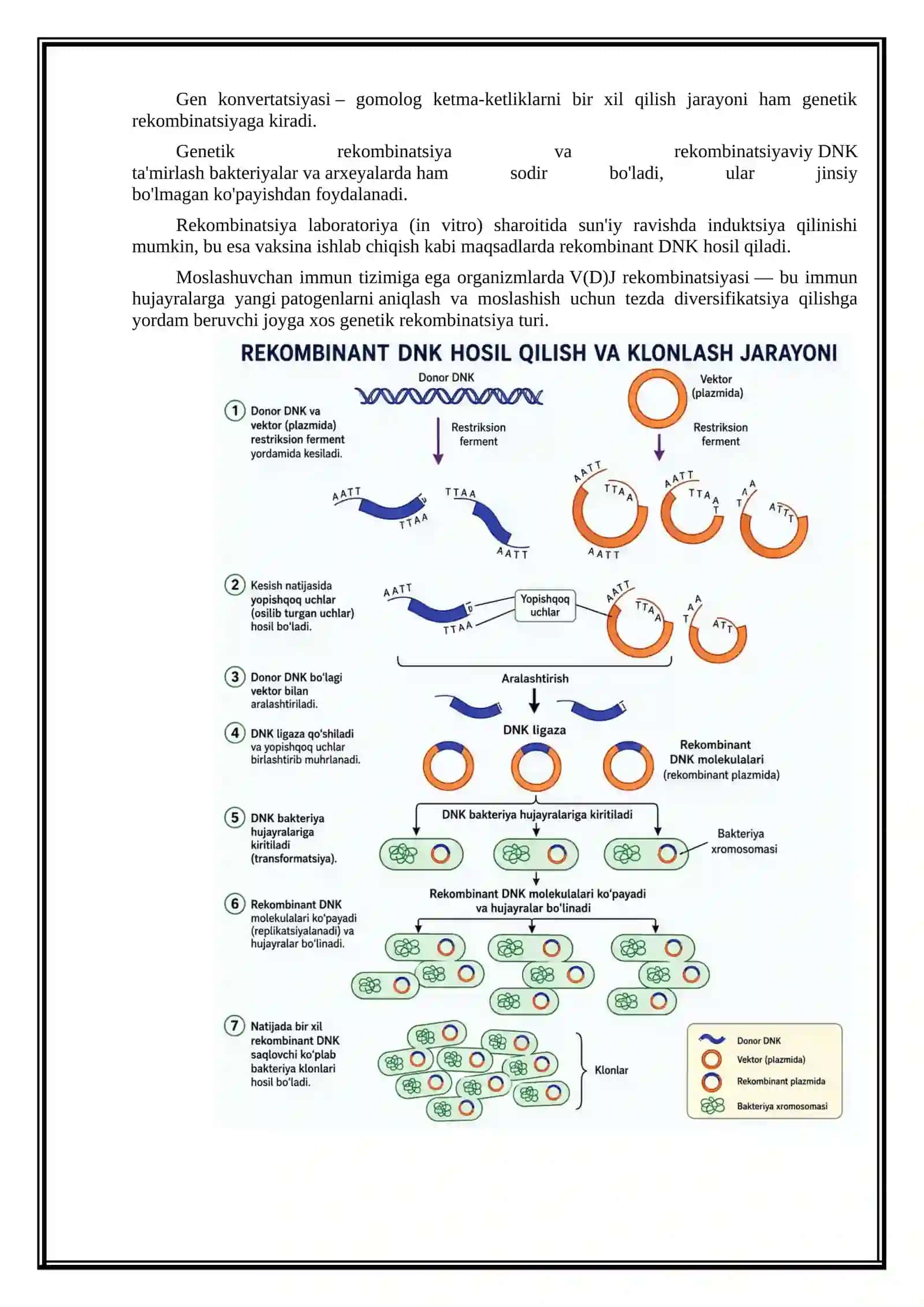 DNK rekombinatsiyasi, genlarni tahrirlash, CRISPR 3