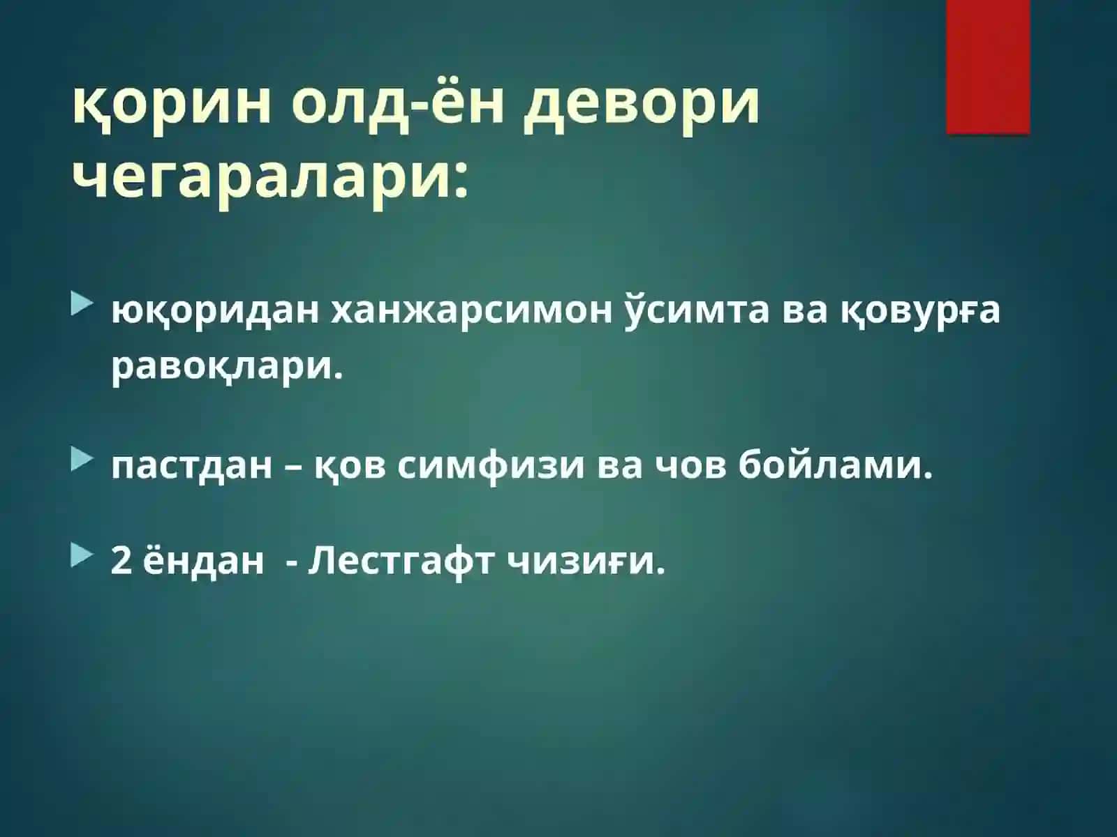 ҚОРИН ОЛД-ЁН ДЕВОРИНИНГ КЛИНИК АНАТОМИЯСИ. ҚОРИН ТАШҚИ ЧУРРАЛАРИ ВА УЛАРДАГИ ОПЕРАЦИЯЛАР 3