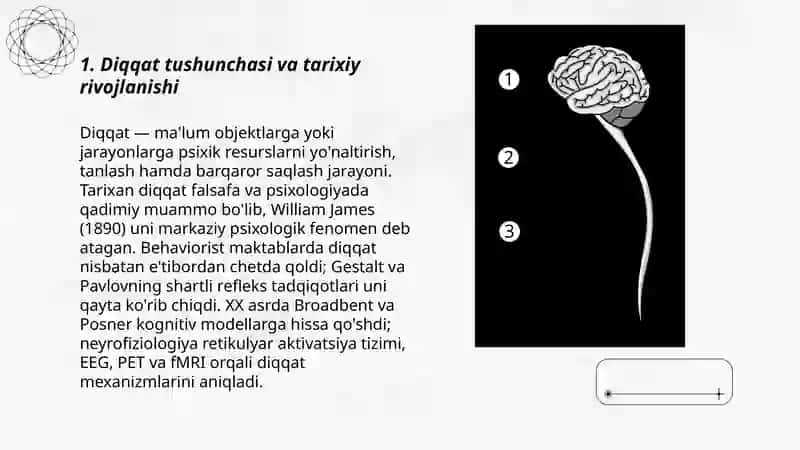 Diqqat haqida tushuncha va uning nerv fiziologik asoslari 3