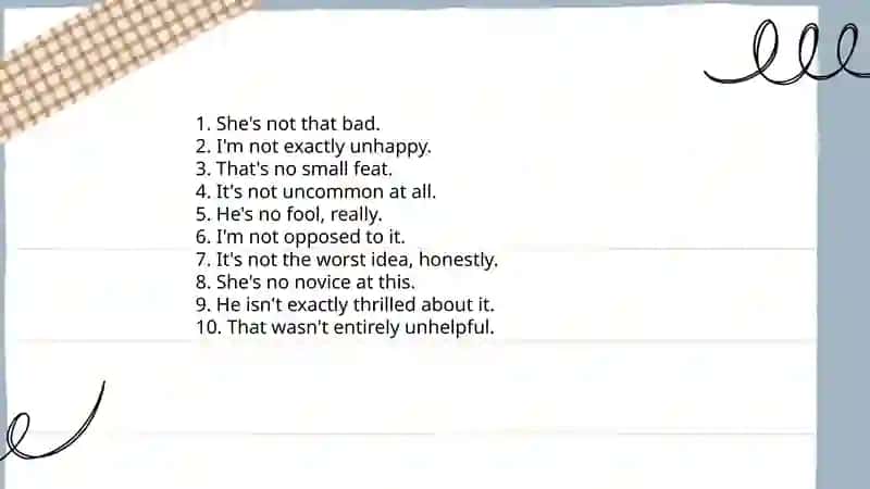 Examples of Litotes 3
