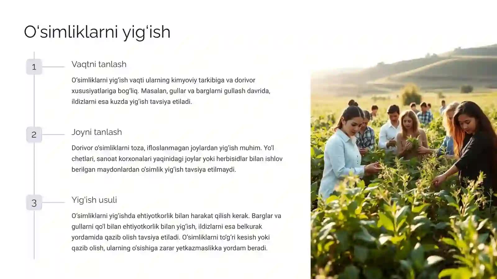 Dorivoro‘simliklar xomashyosini tayyorlash asoslari 3