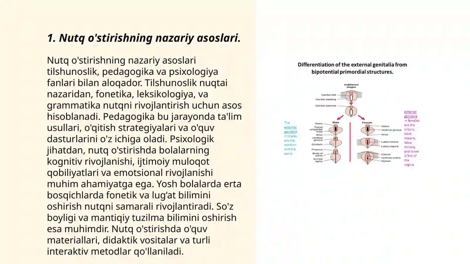 Nutq o'stirish nazariyasi va metodikasi fanining maqsad va vazifalari 3