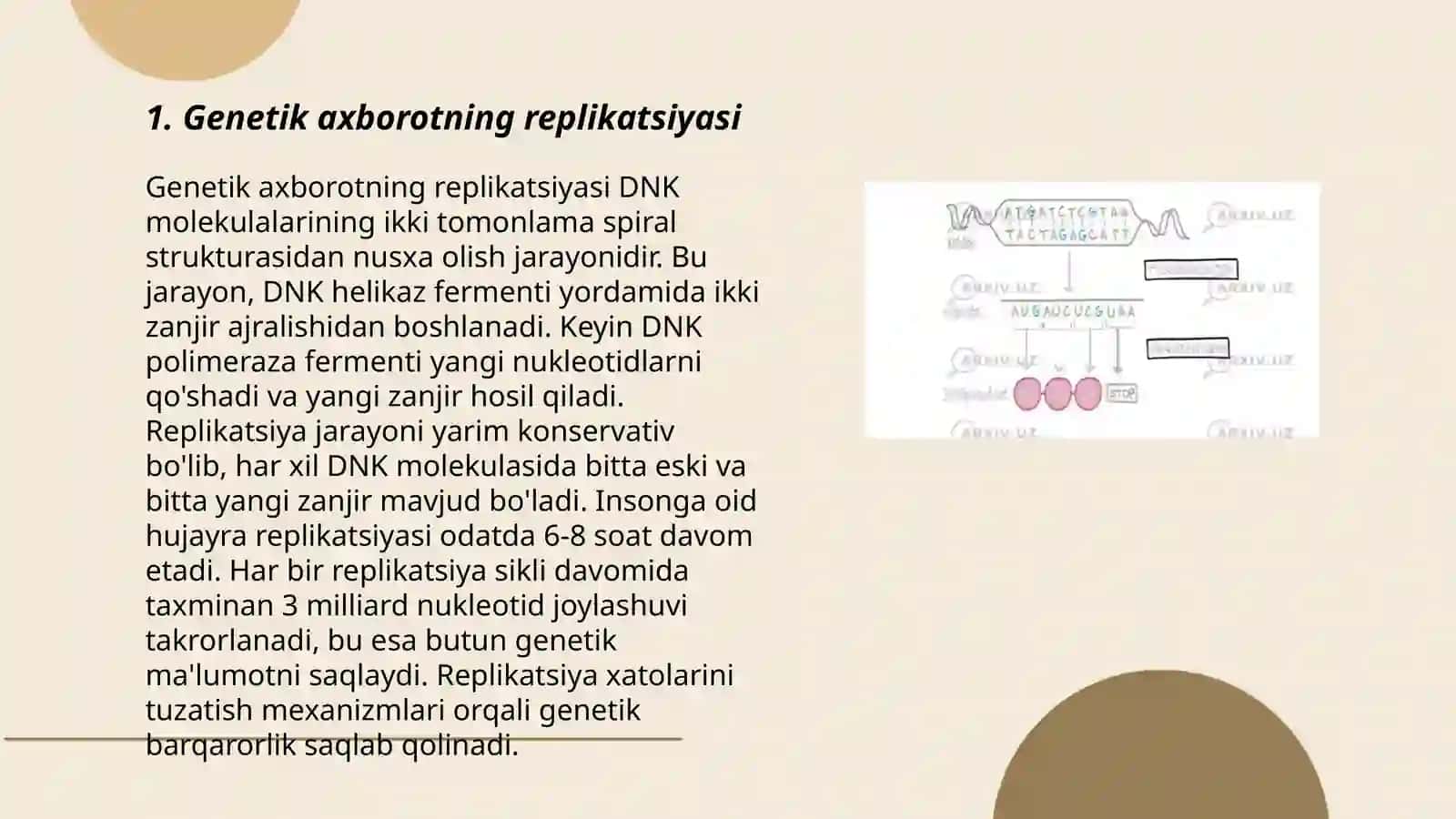 Hujayrada oqsil biosintezi. Genetik axborot ko'chirishning maxsus turlari. Hujayrada oqsil biosintezini tartibga solish, Operon tizimi 3