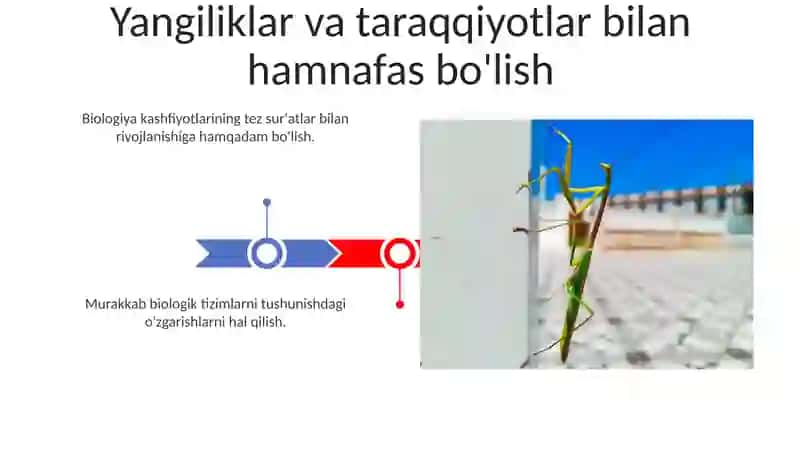 Biologiyani fanlarini oʻqitishdagi dolzarb muommolari 3