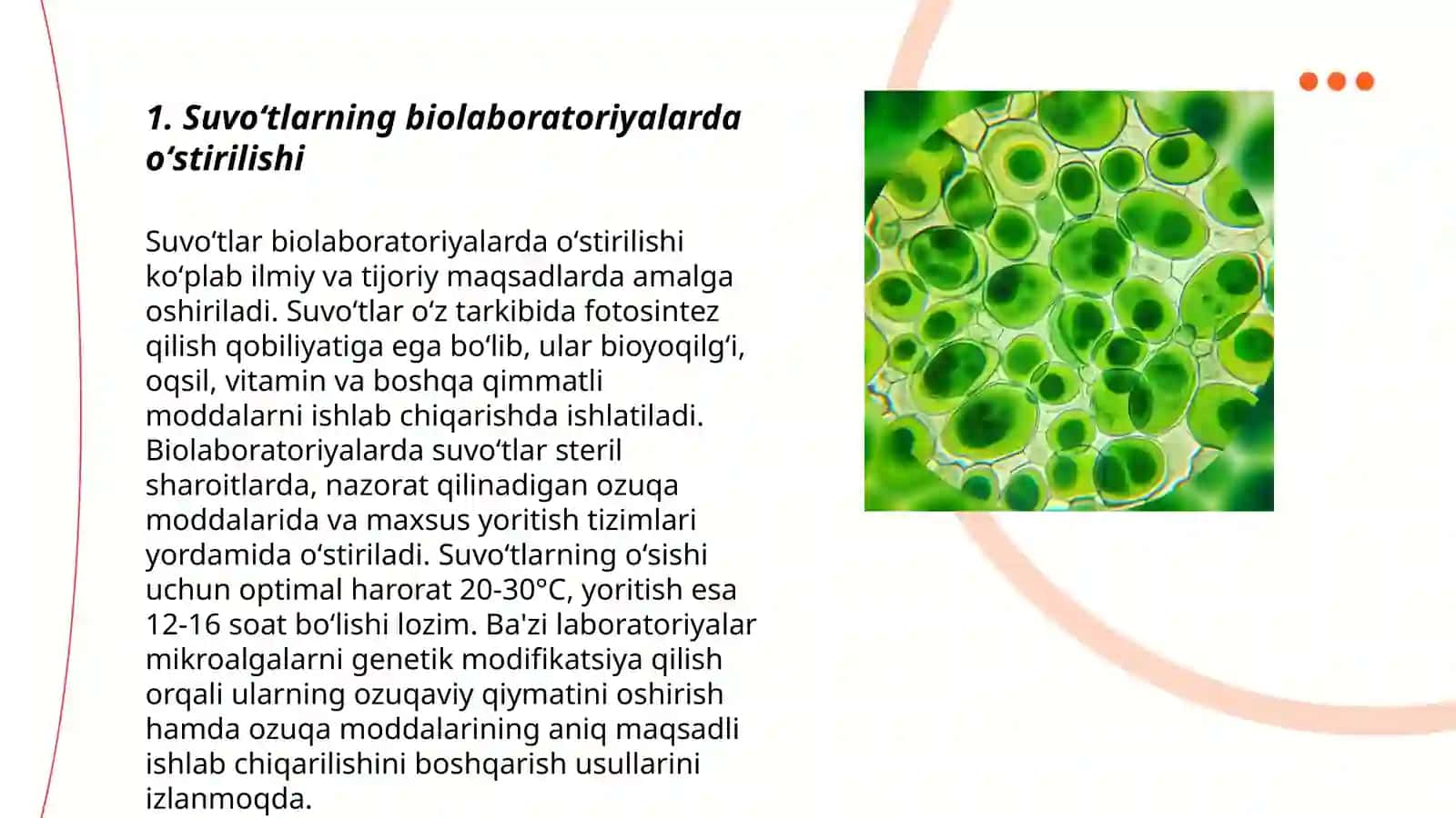 Universitetning biolaboratoriyalarida oʻstiriladigan suvoʻtlar 3