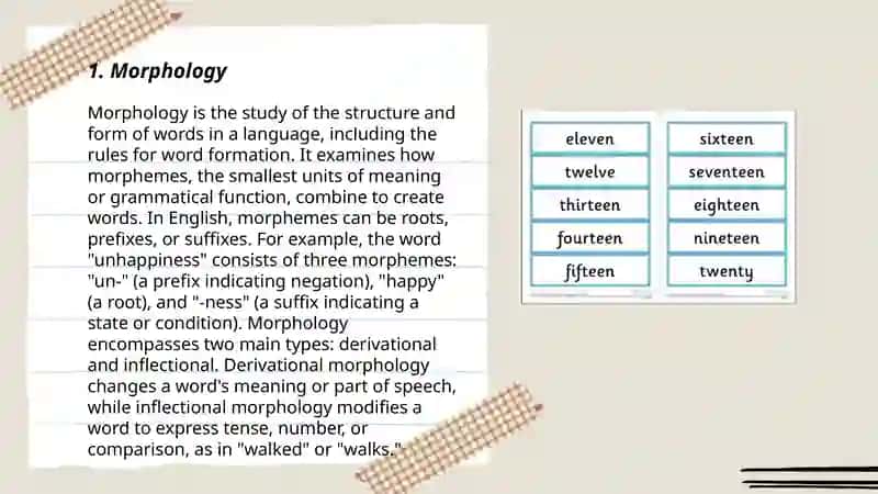 THE STRUCTURE OF THE ENGLISH WORD 3