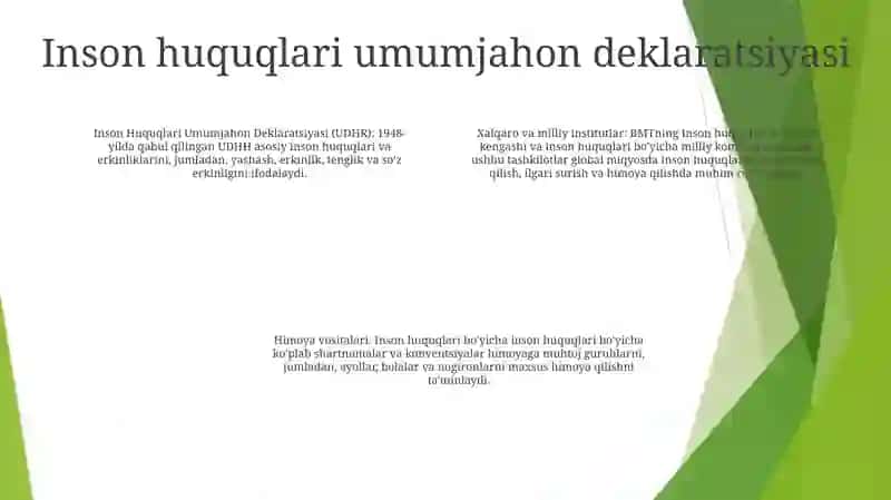 Inson Huquqlarini Ximoya Qilishga Doir Hujjatlar, Xalqaro Va Milliy Institutlar 3