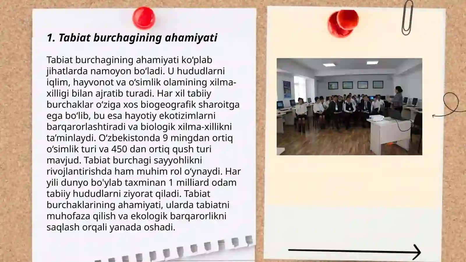 Tabiat burchagini tashkil etish 3