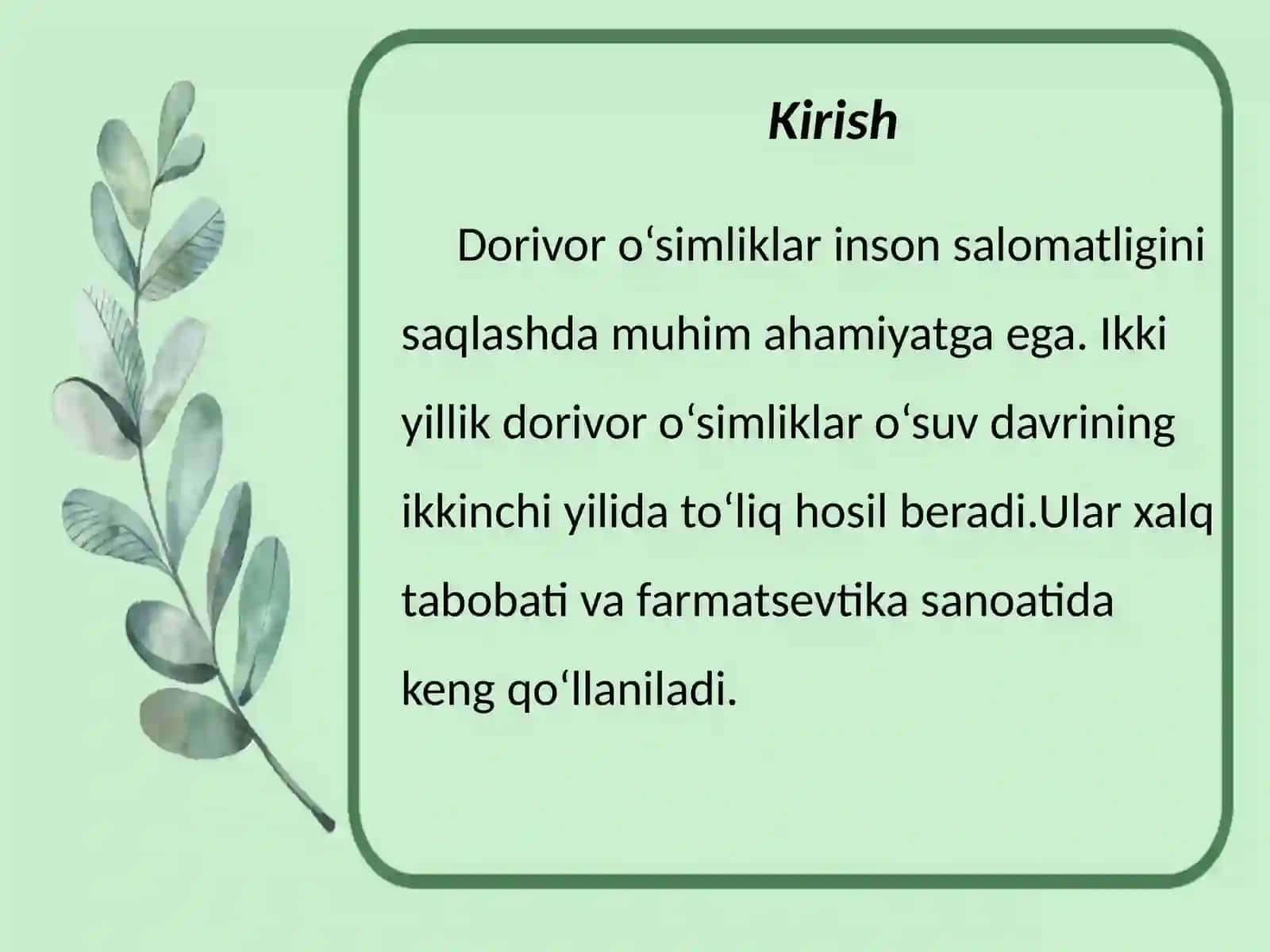 Ikki yillik dorivor o'simliklarni yetishtirish texnologiyasi 3