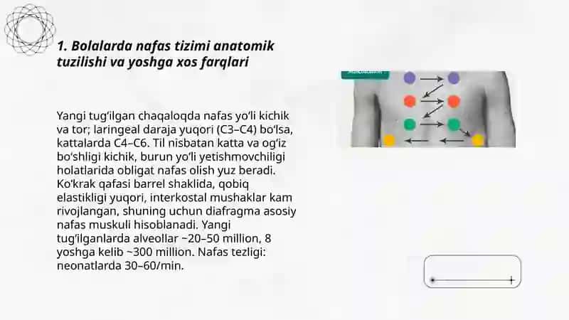 Bolalarda Nafas Tizimi Anatomo-Fiziologik Xususiyatlari 3