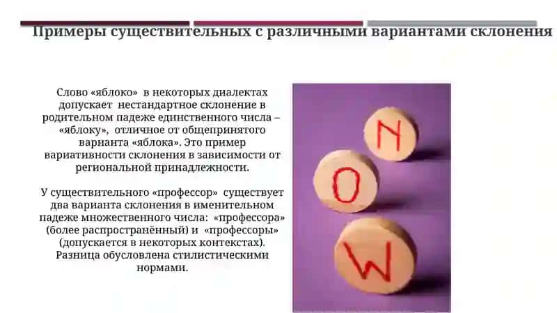 Несклоняемые и разносклоняемые имена существительные 3